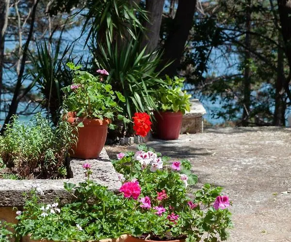 Hotel Adis Golden Sands