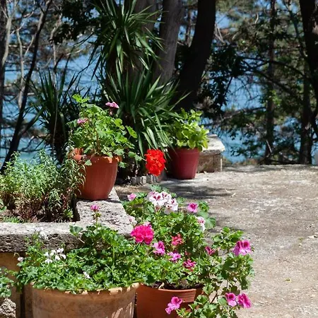 Hotel Adis Złote Piaski