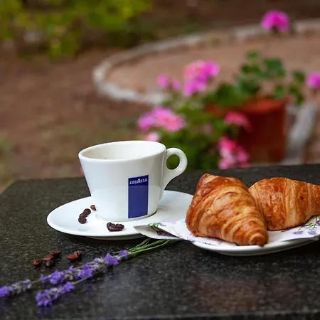 Adis Hotel Złote Piaski